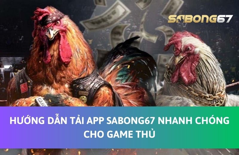 Tại sao người chơi nên tải App Sabong67